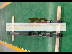 Mechanische de Reeks Herwinbare Verpakker C van HPHT/de Integrale Omleiding van W met 12000psi wp